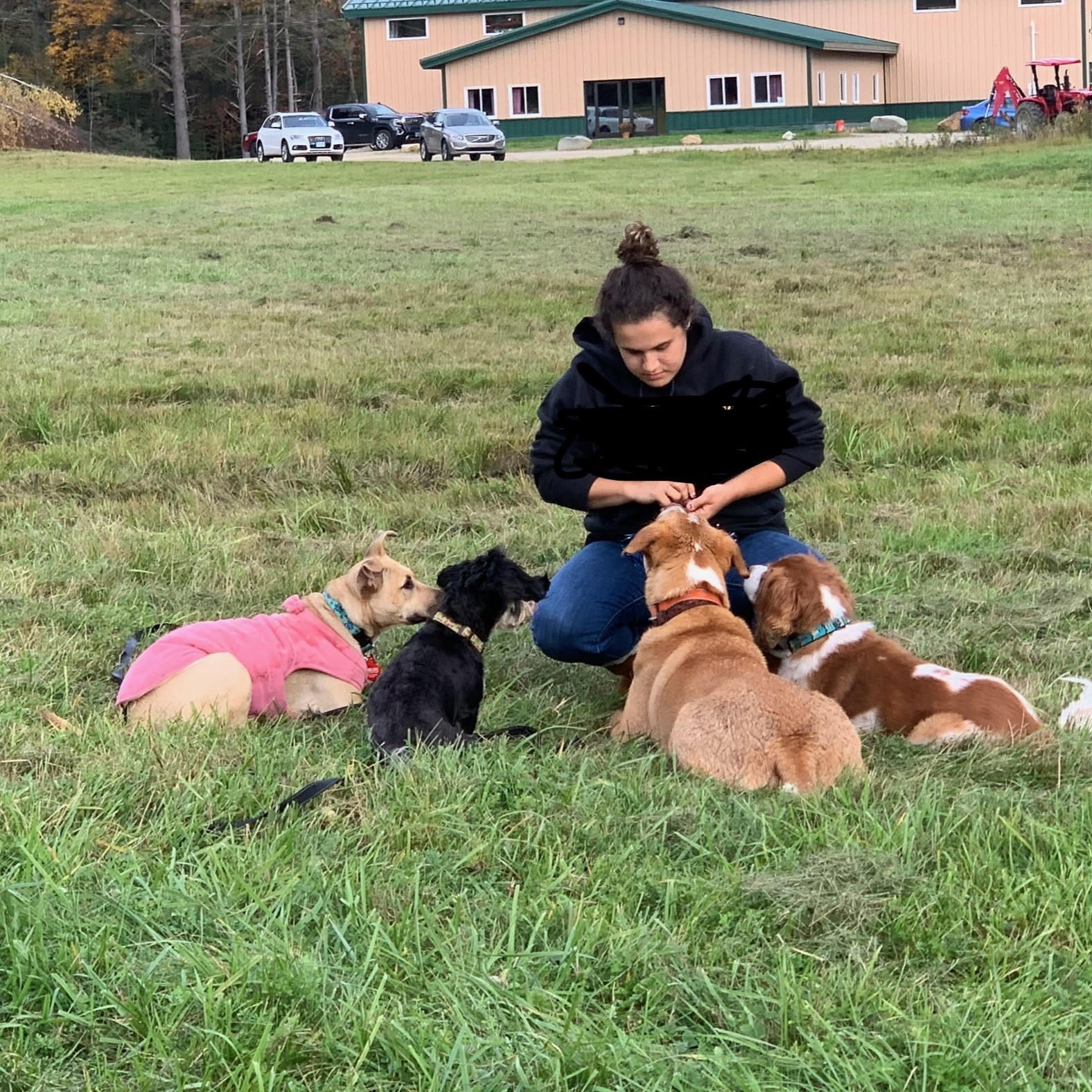 dog training services in Rindge, NH
